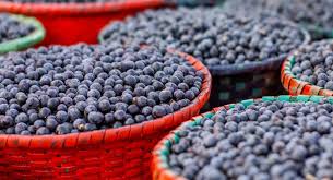 What Is Açaí, Really? From the Amazon to Your Bowl