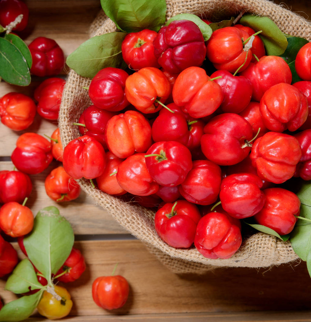 Acerola pulp